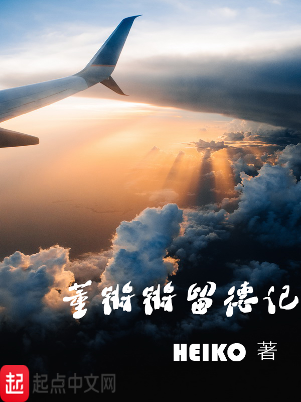 董锵锵留德记 Heiko